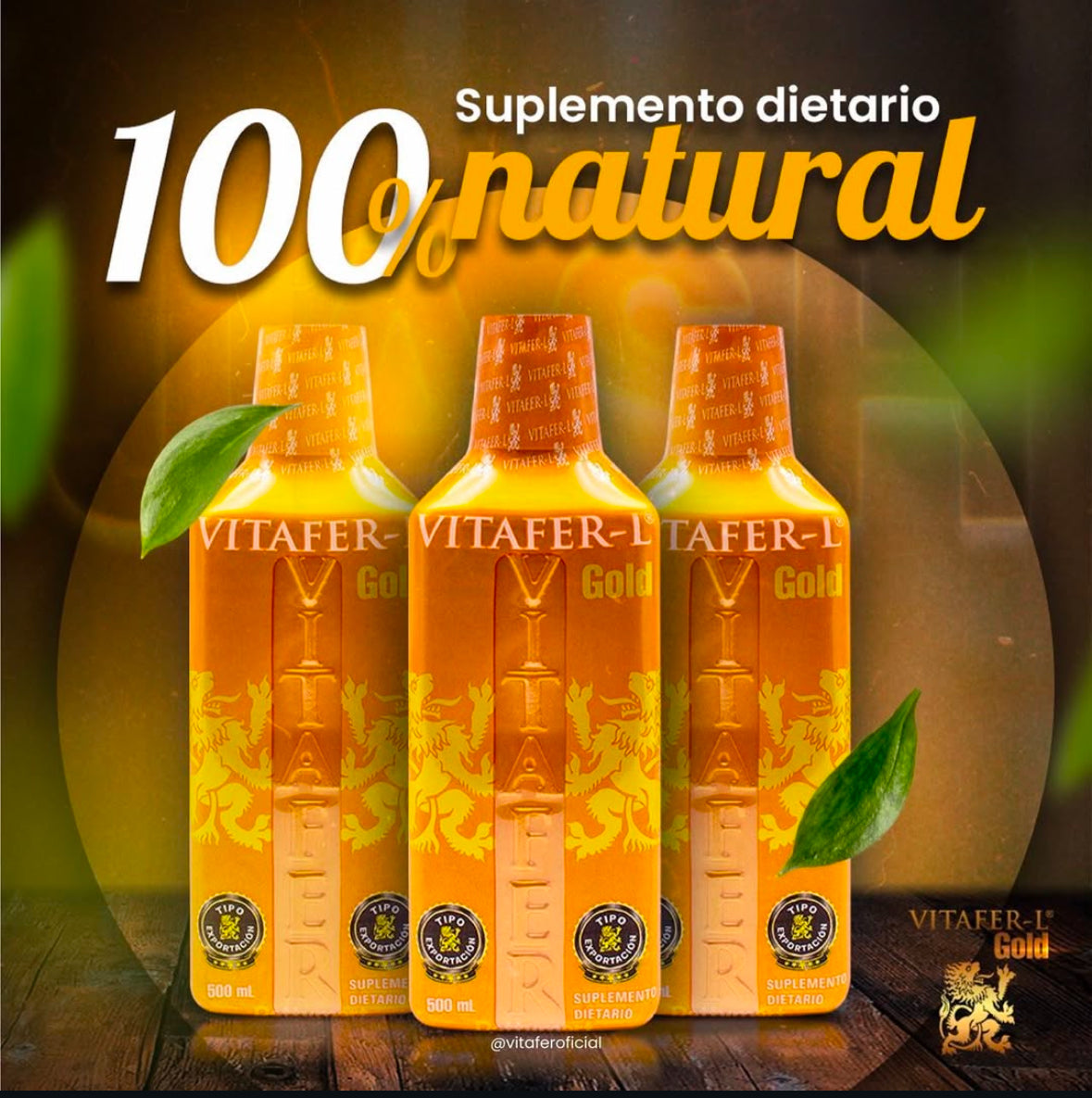 Vitafer L Suplemento