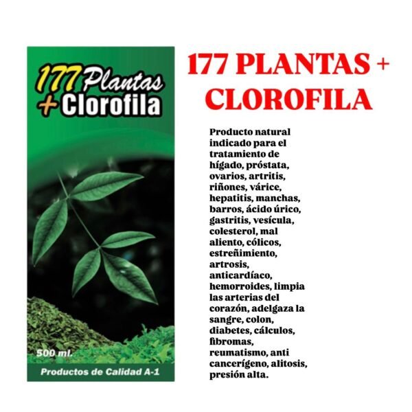 177 Plantas + Clorofilia - Image 2